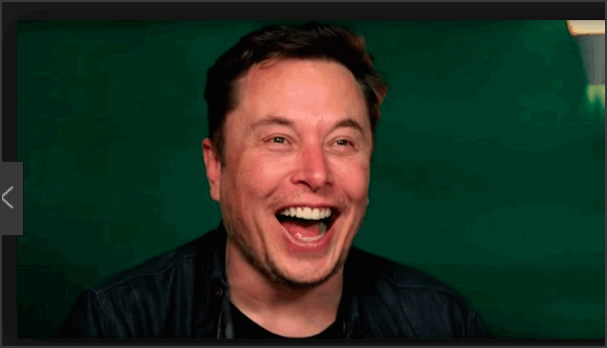 Elon Musk_1.png